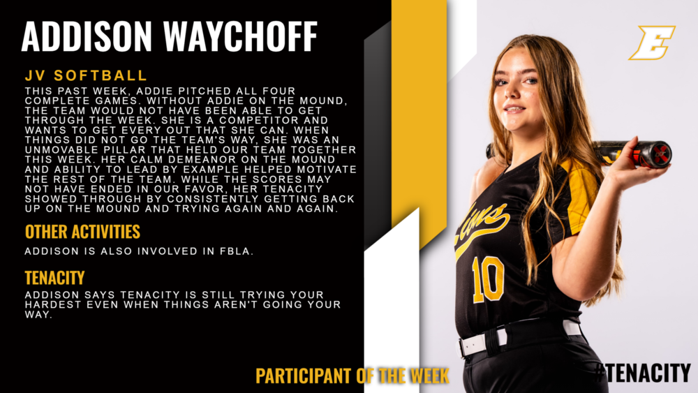 Addison Waychoff Infographi