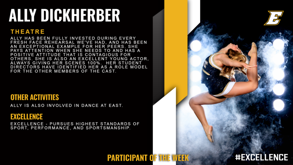 Ally Dickherber Infographic