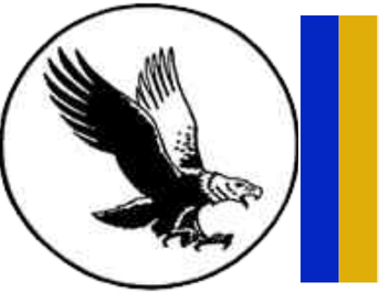 PSE Eagle and School colors