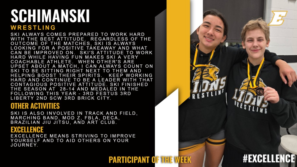 Schimanski Infographic