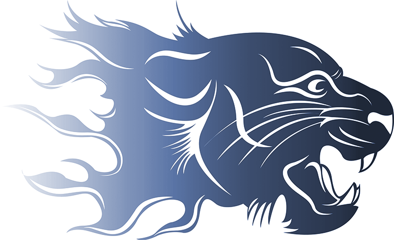NMS Cougars