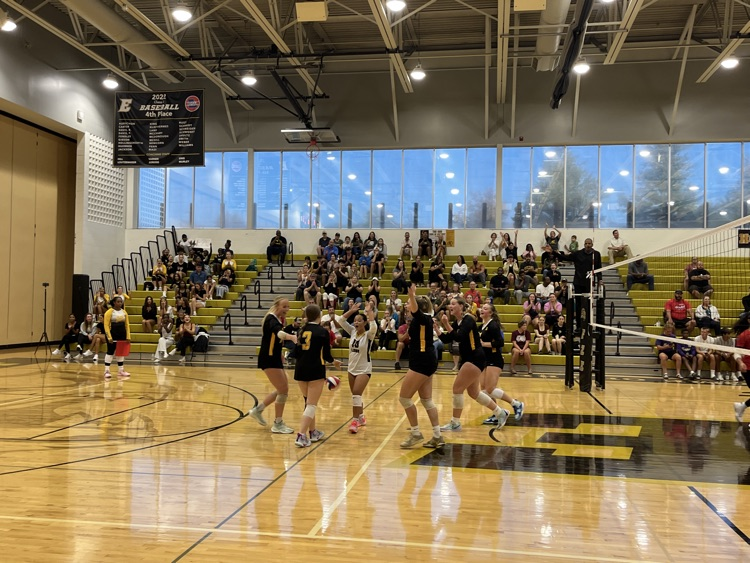 Our Lions celebrating a point