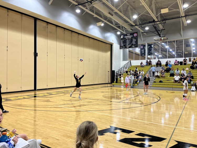Lions serving in set three