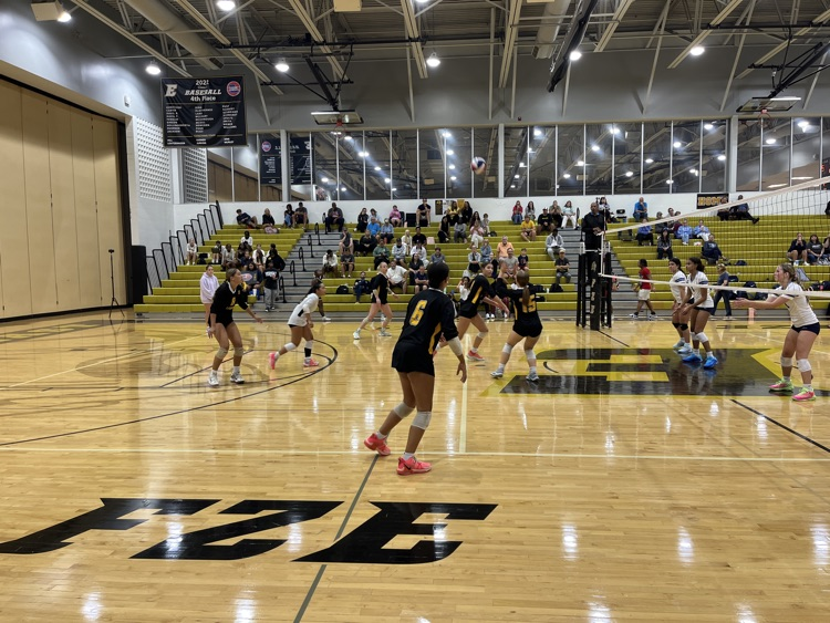 Lions serve receive in set 3
