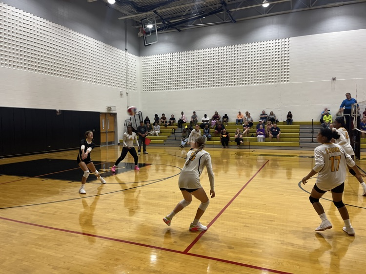 C volleyball playing tough against Washington