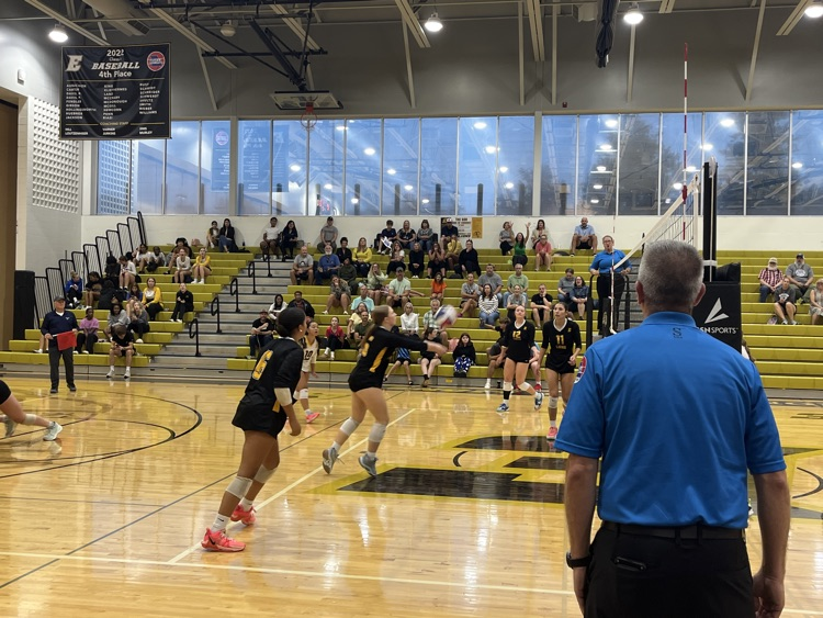 Lions receiving serve