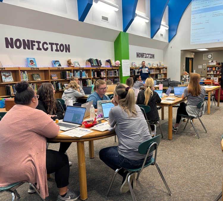 reviewing iReady data