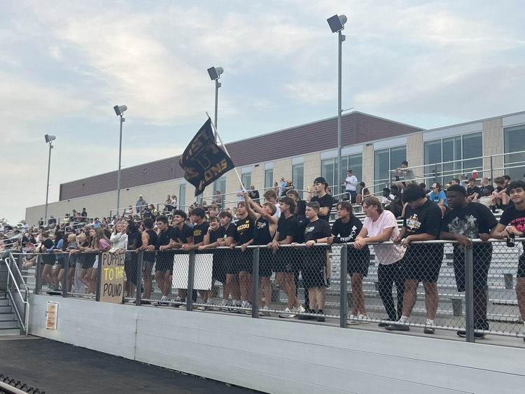 The 600 cheering on our Lions