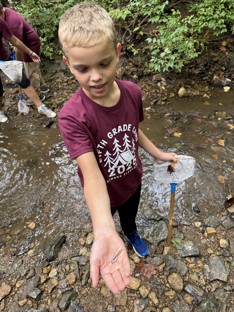 creek exploration