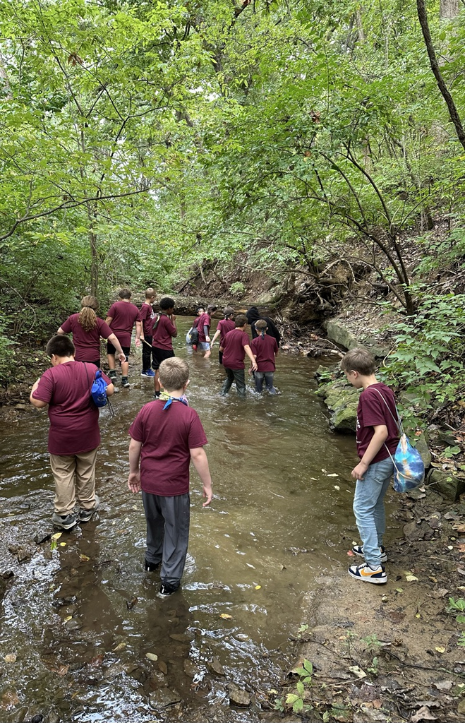 creek exploration 