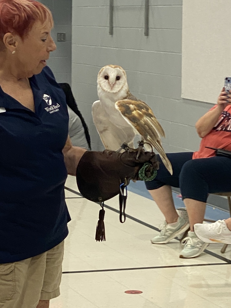 Birds of prey