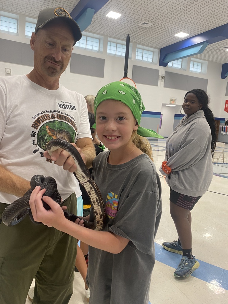 reptile presentation
