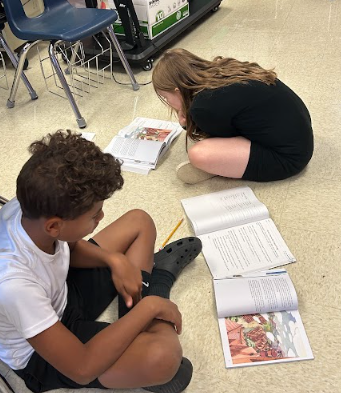 5th grade Reading
