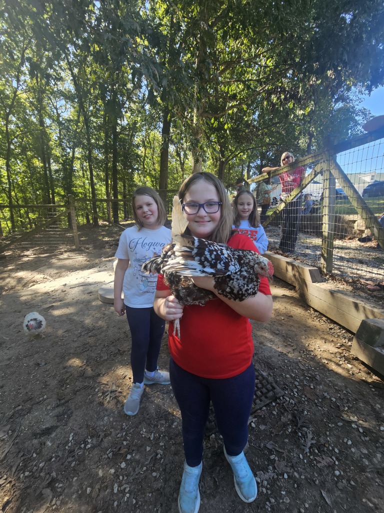 FHE Art Club