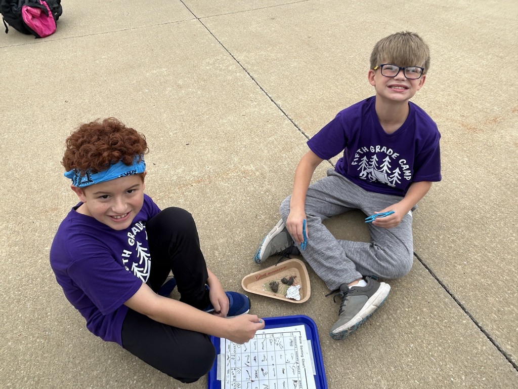 Owl Pellets