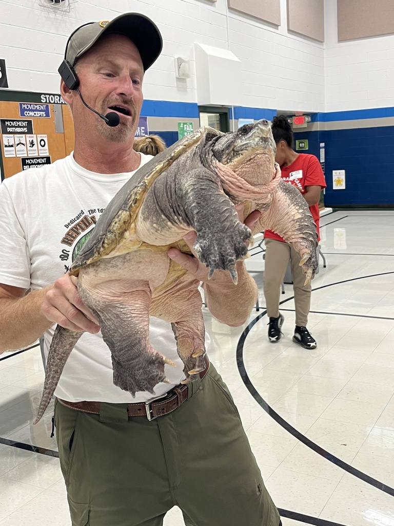 Reptiles
