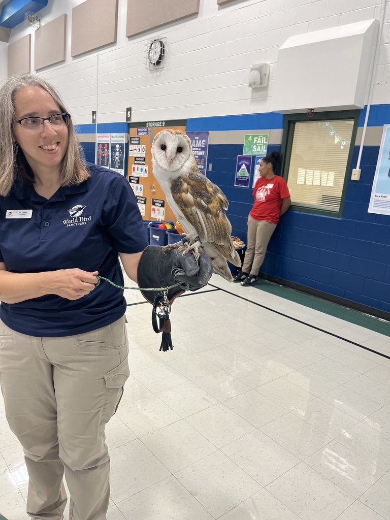 Birds of Prey