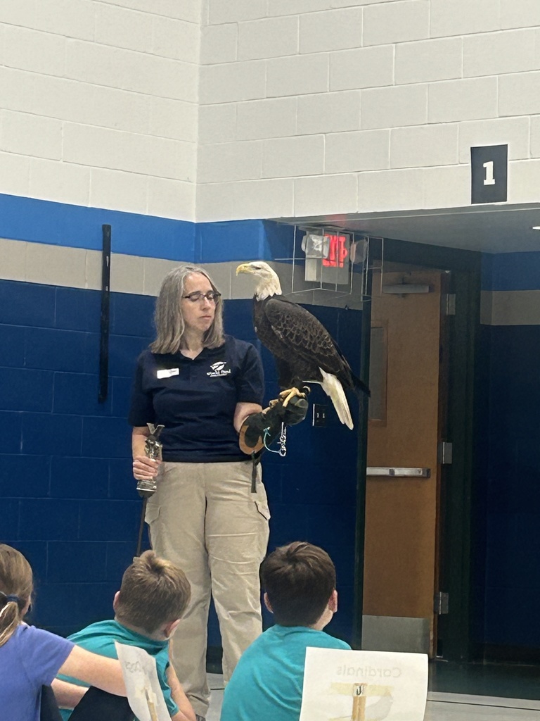 Birds of Prey