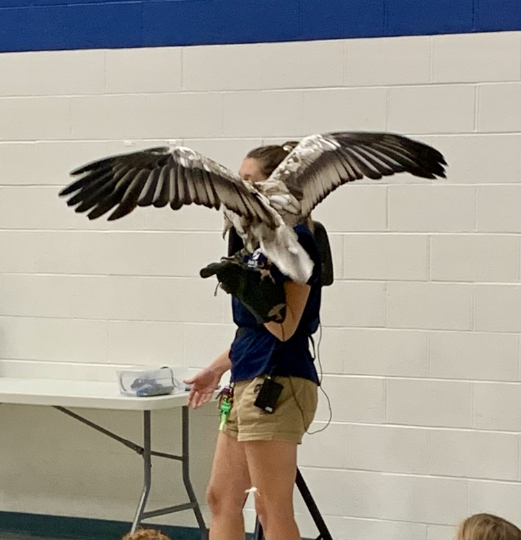 Man holding bird of prey 