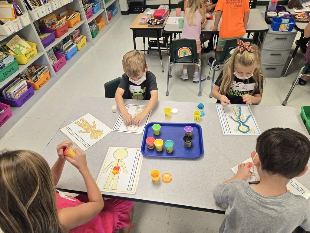1st Graders use Playdoh to construct different body systems.