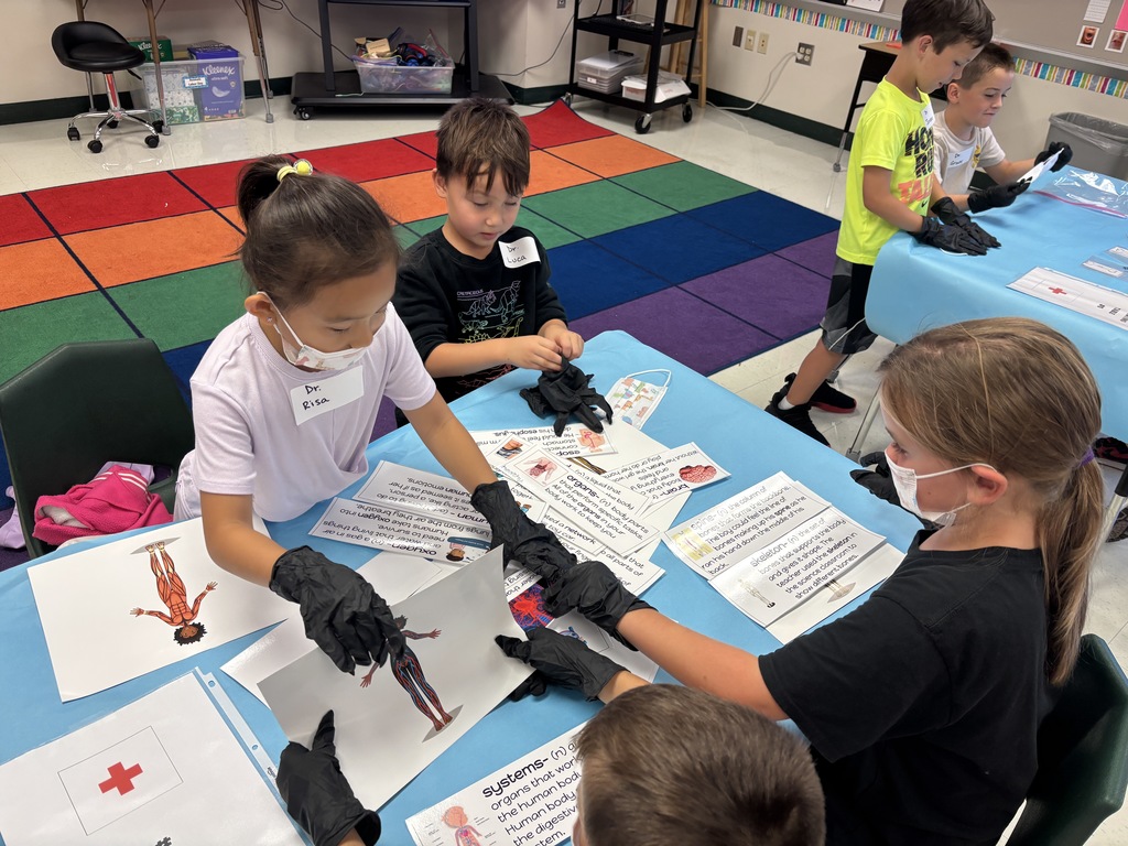 First graders explore body systems.