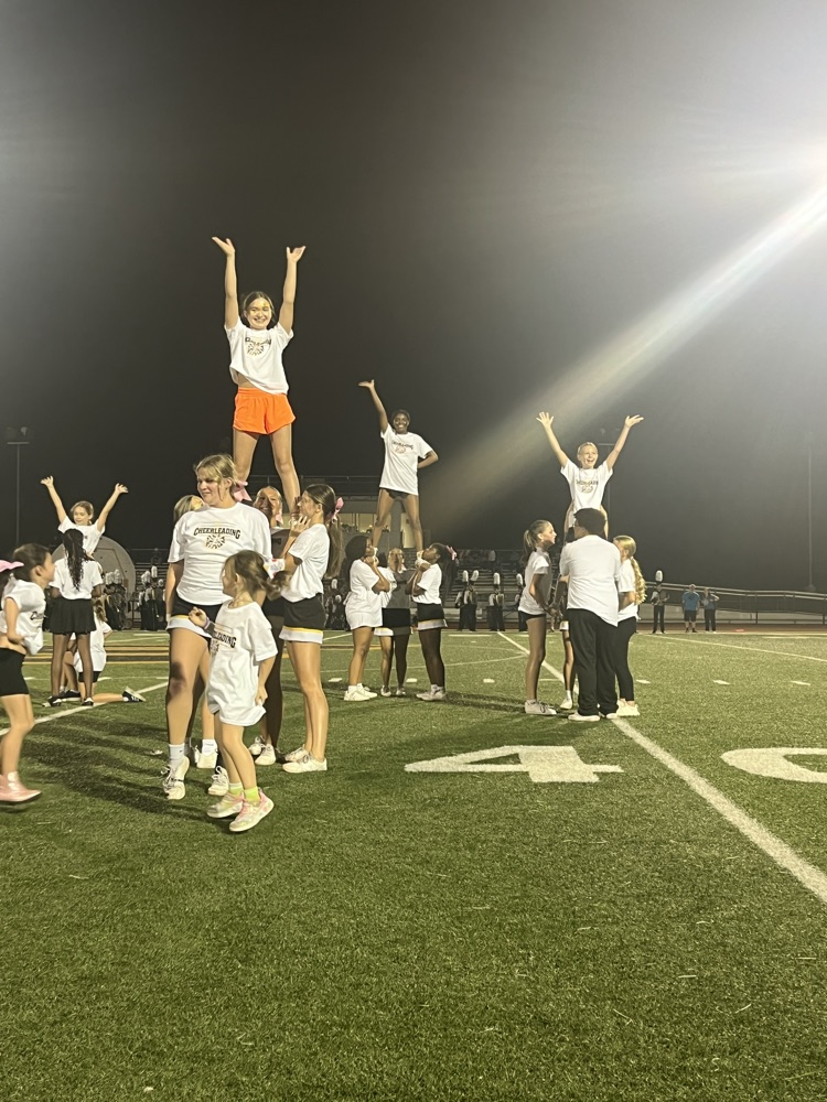 Junior Lion cheer performing at half
