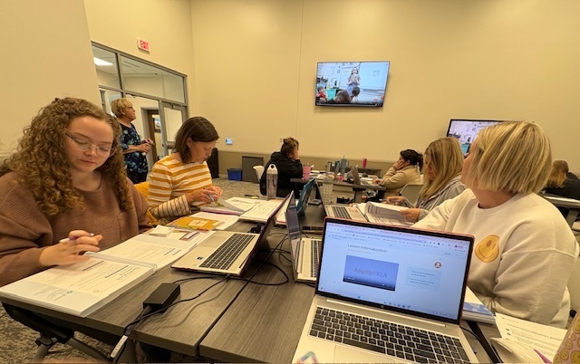 Professional Development in Action