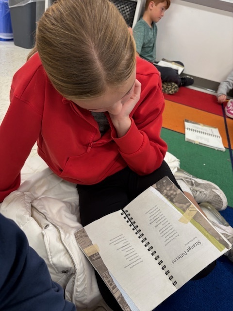 5th Grade Poetry Unit