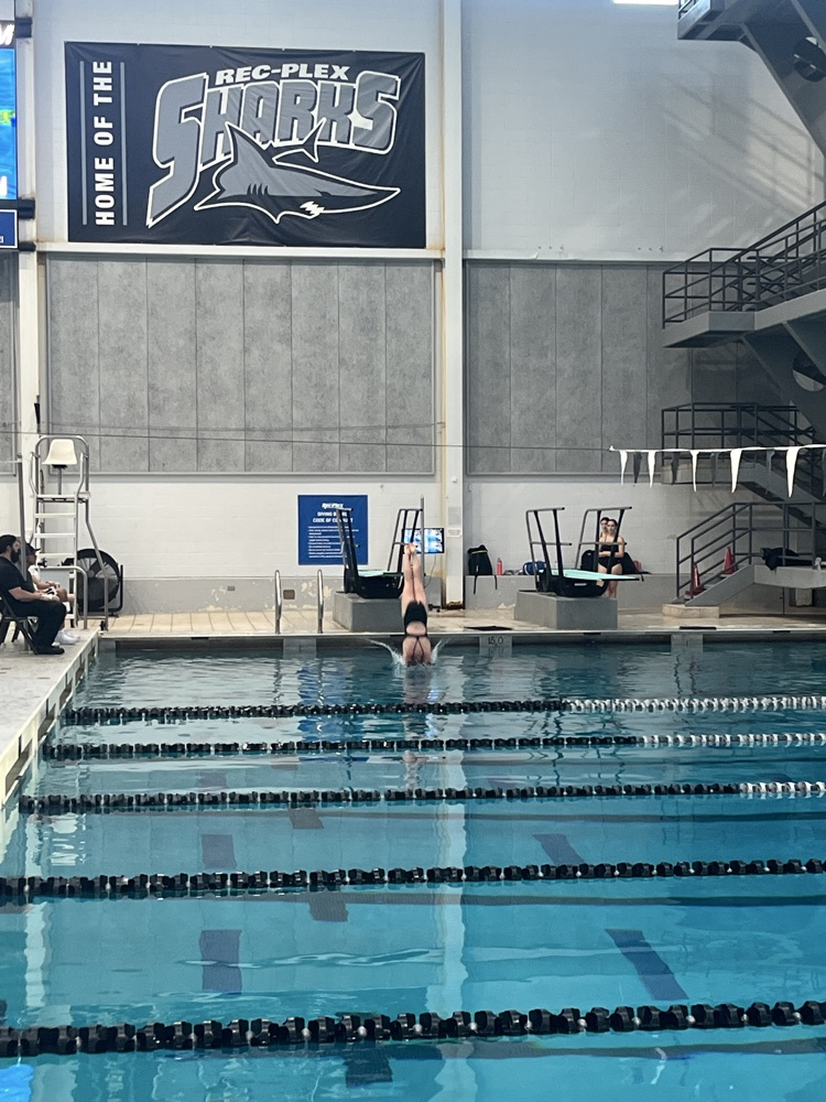 Sammy Walden entering the water on a well executed dive 