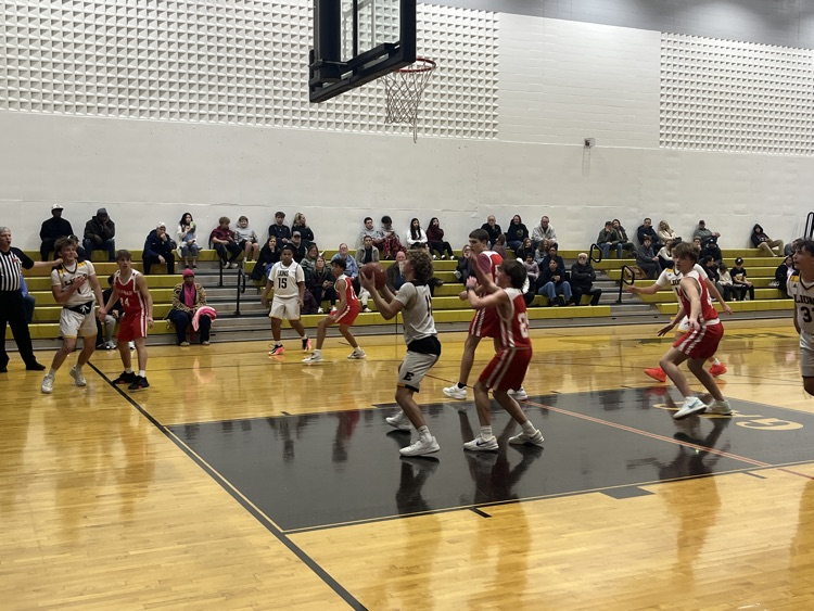Lions under the basket getting ready to shoot