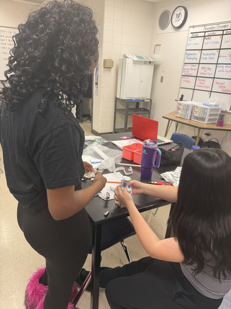 8th grade science designing, constructing and testing devices that will minimize or maximize thermal energy transfer