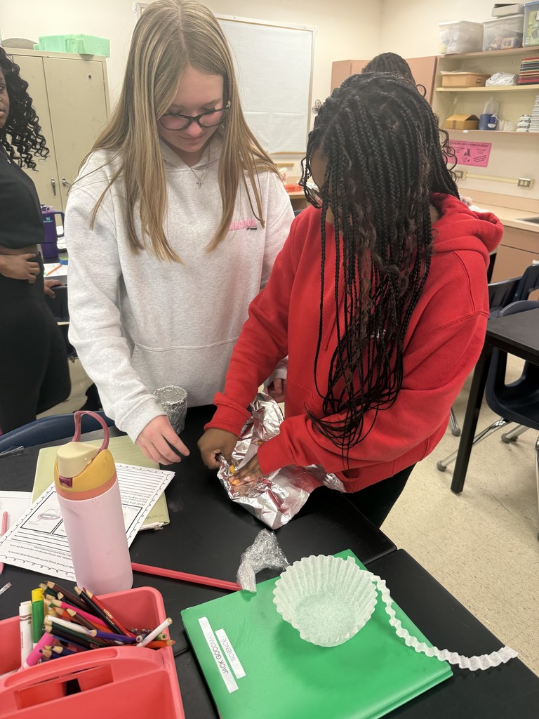 8th grade science designing, constructing and testing devices that will minimize or maximize thermal energy transfer