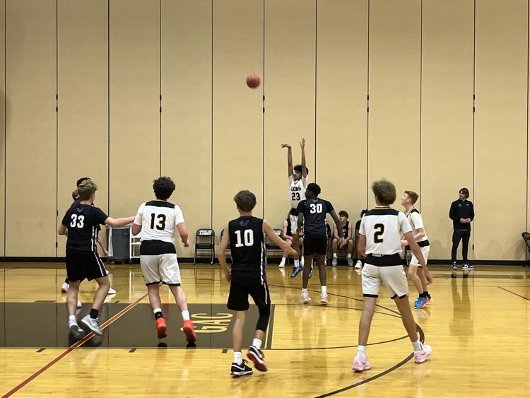 Lions attempting a 3