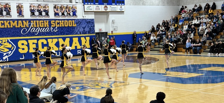 Golden Girls in a spin