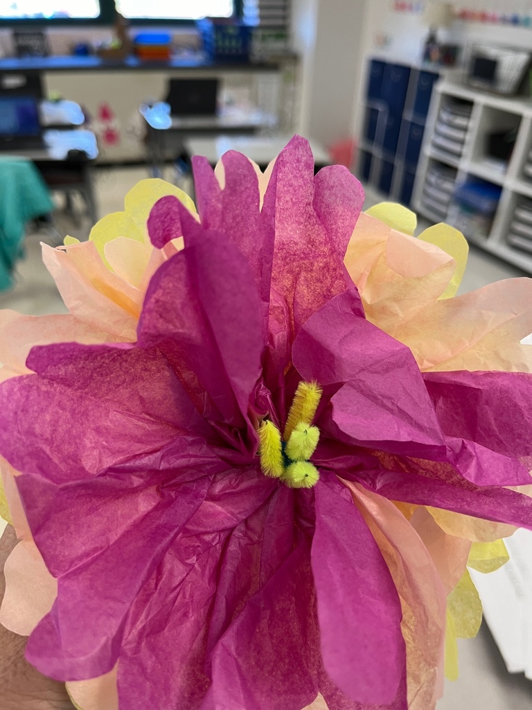 Science & Synergy Day