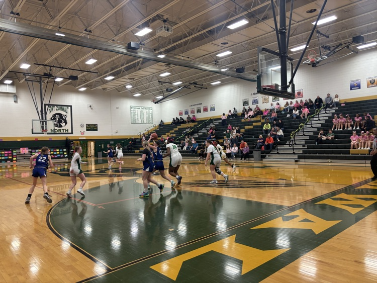 JV girls basketball vs Washington