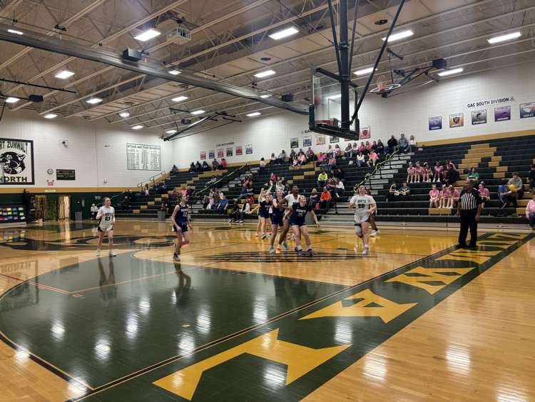 JV girls basketball vs Washington