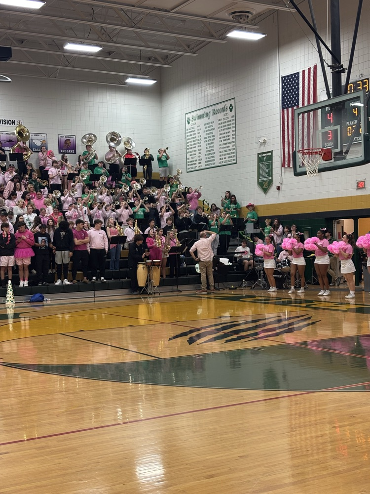 highlights from Paint It Pink night