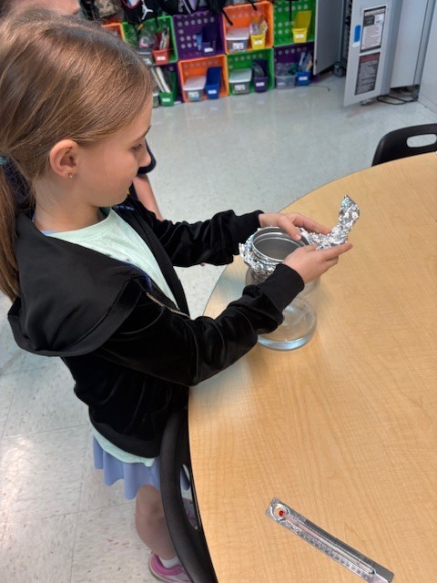 3rd grade experiments 