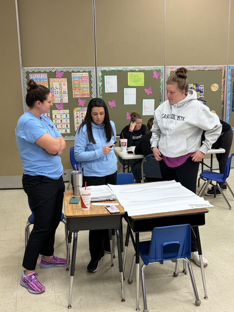 teachers working and learning together!