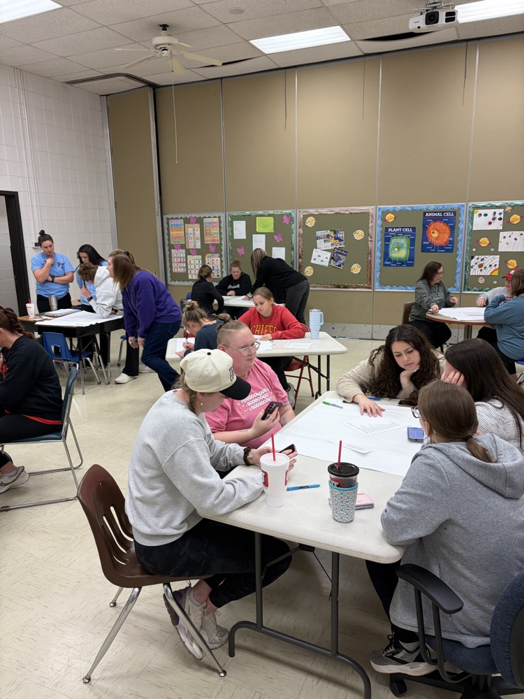 teachers working and learning together!