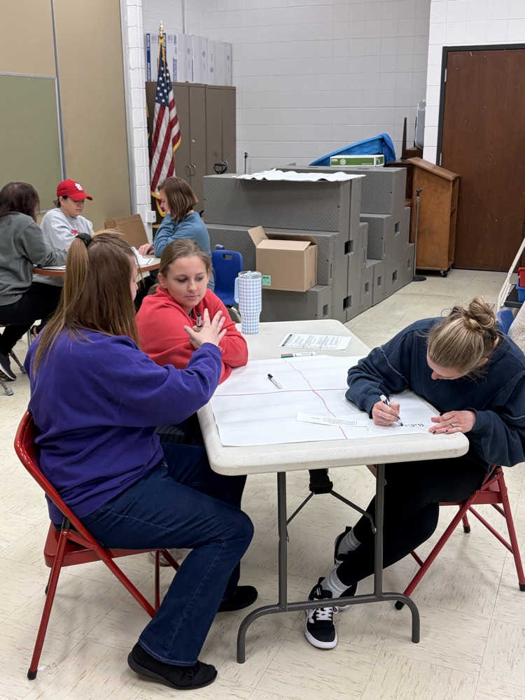 teachers working and learning together!