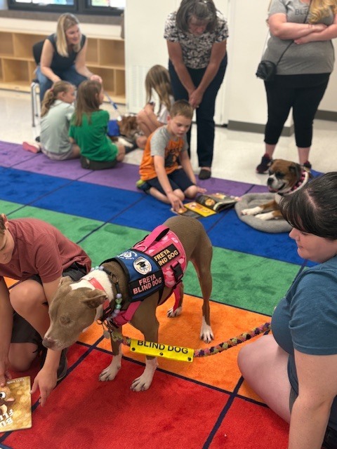 STEAM NIGHT 