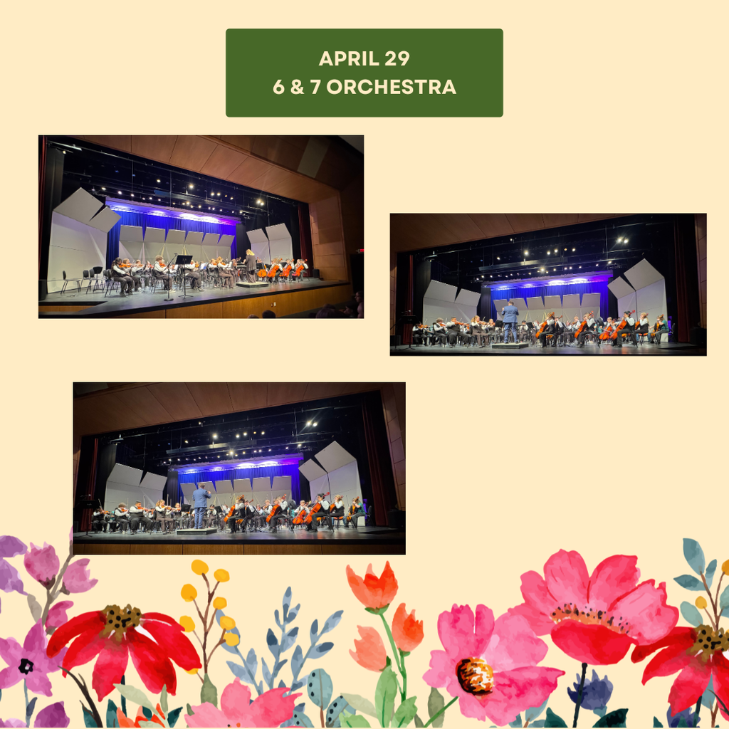Orchestra Concert Pictures