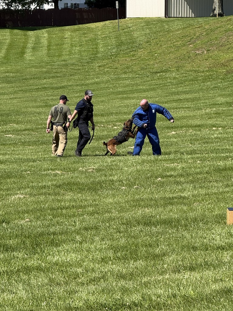 k9 demonstration