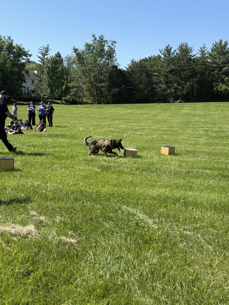k9 demonstration