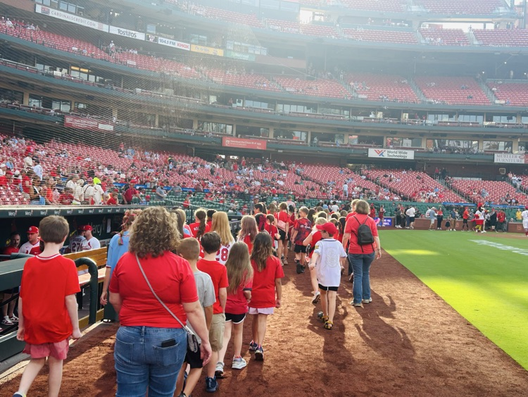 Cardinals Baseball