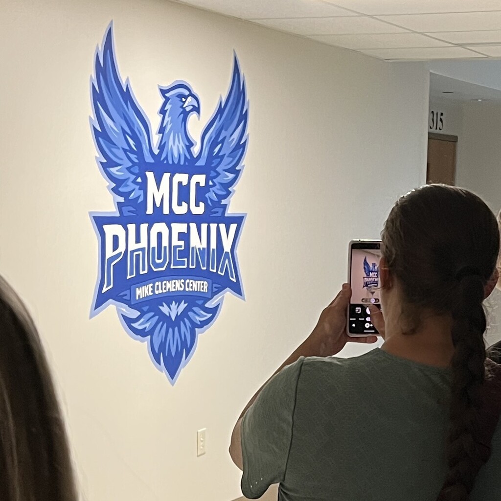 visitor snaps picture of blue phoenix school logo