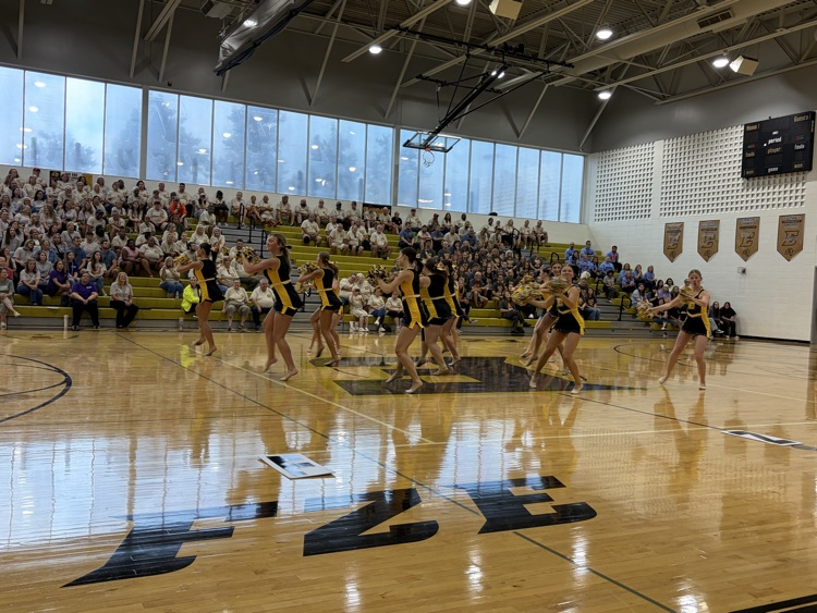 black and gold clad dancers and cheerleaders