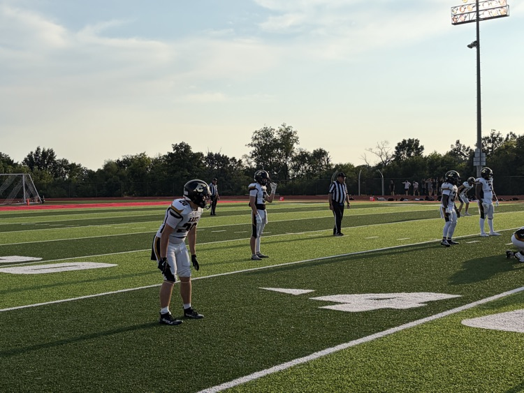Lion cornerback getting ready to defend